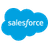 Salesforce navigation item icon